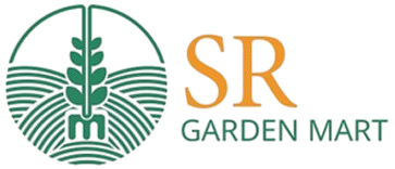 logo.jpg